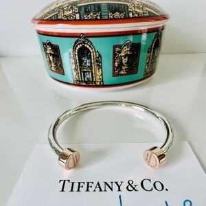 Return To Tiffany Narrow Circle Edge Cuff in Rubedo and Silver